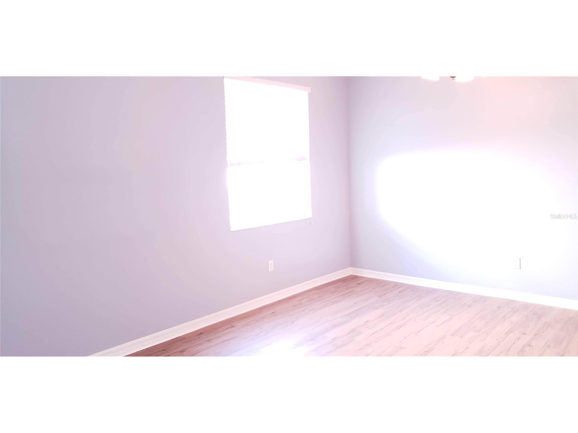 1115 Fennel Green Drive Seffner FL 33584 TB8508258 image13