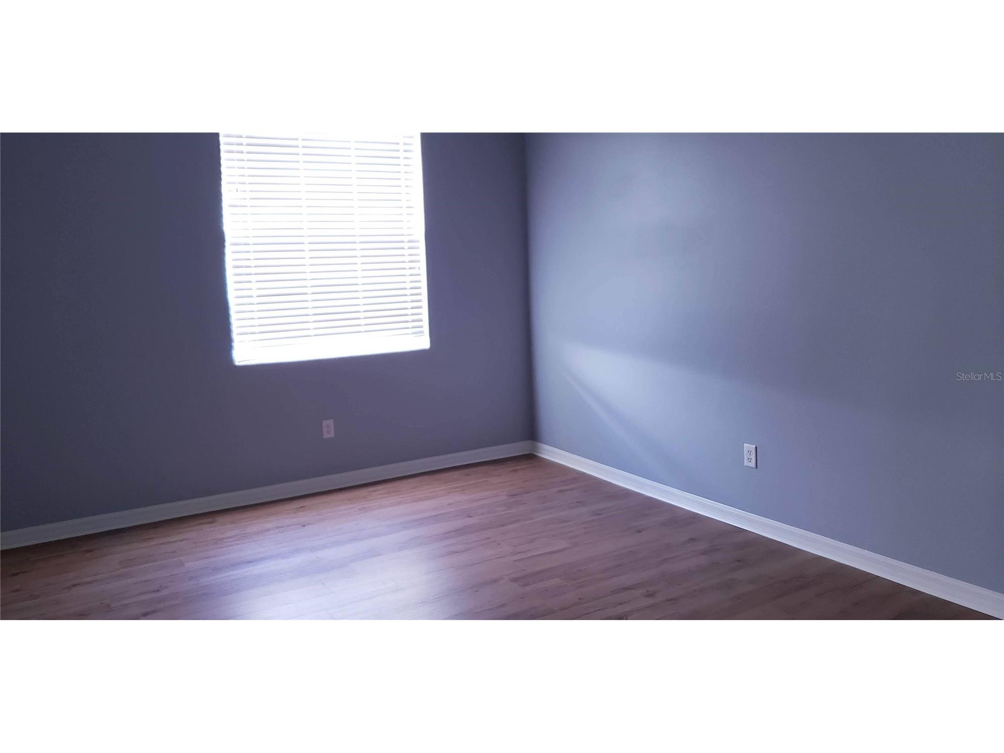 1115 Fennel Green Drive Seffner FL 33584 TB8508258 image15