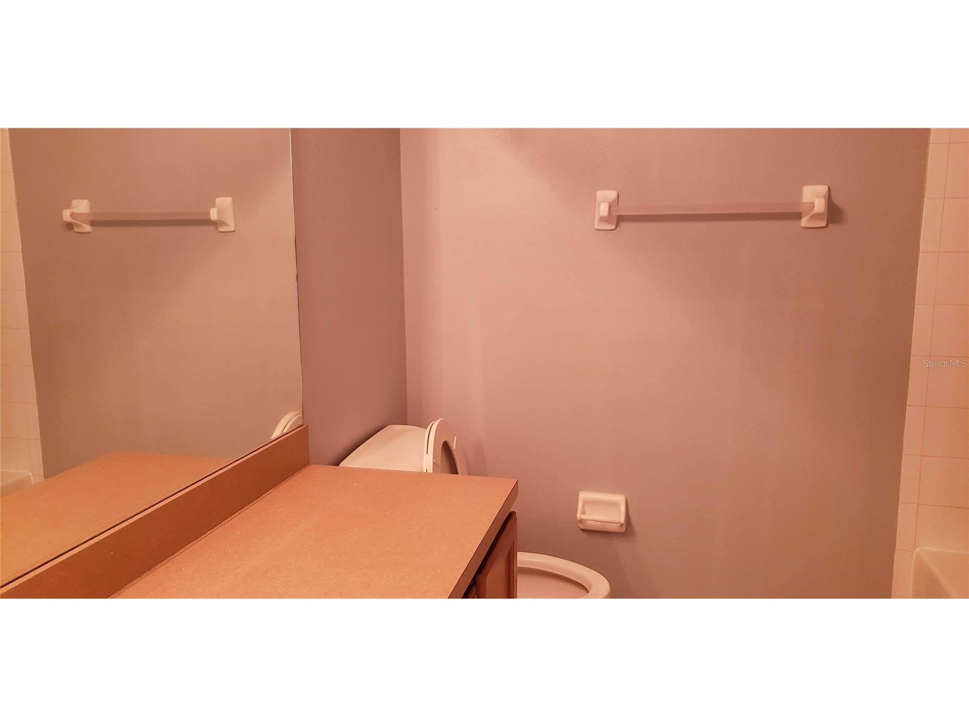 1115 Fennel Green Drive Seffner FL 33584 TB8508258 image16