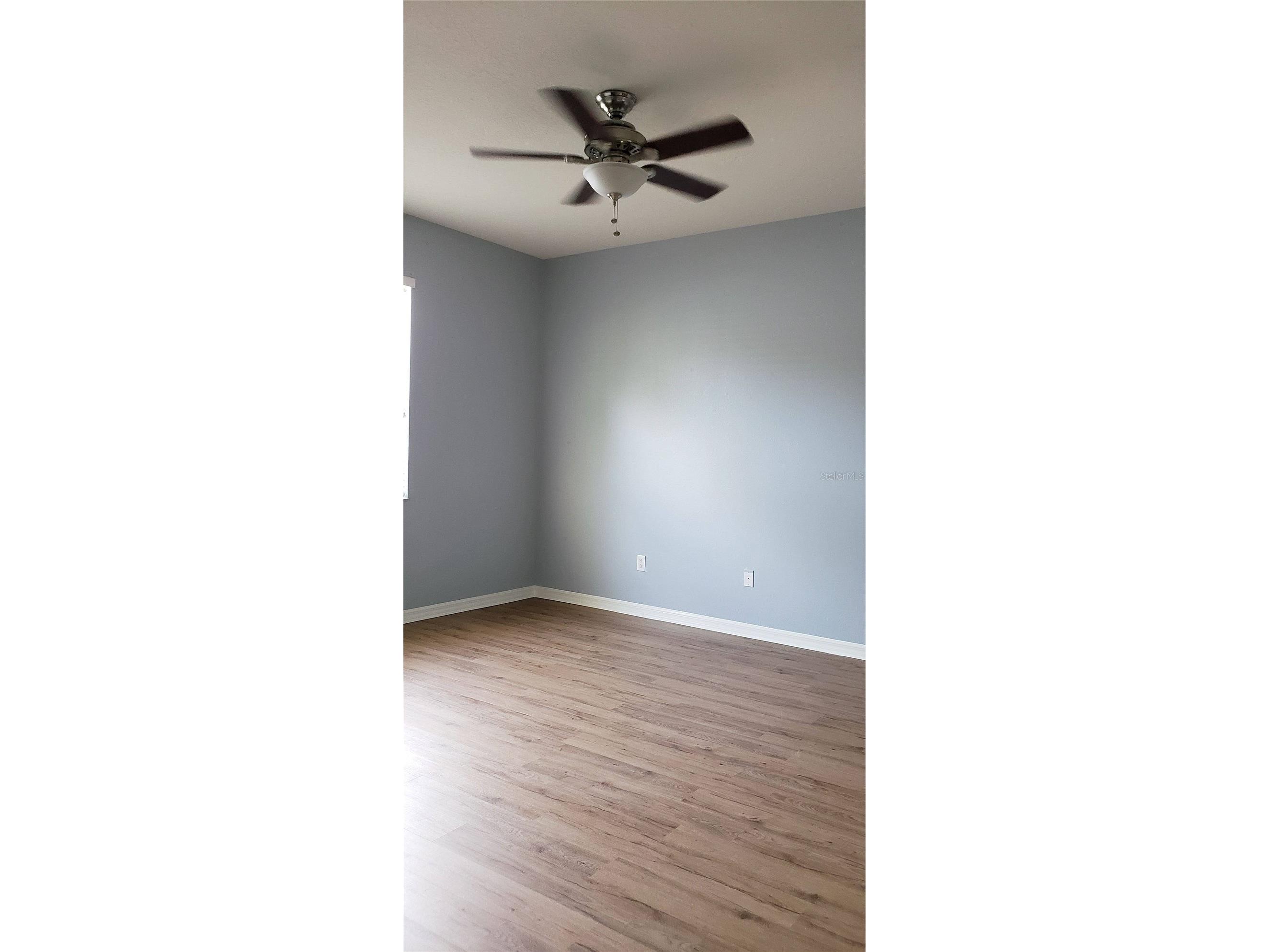 1115 Fennel Green Drive Seffner FL 33584 TB8508258 image18