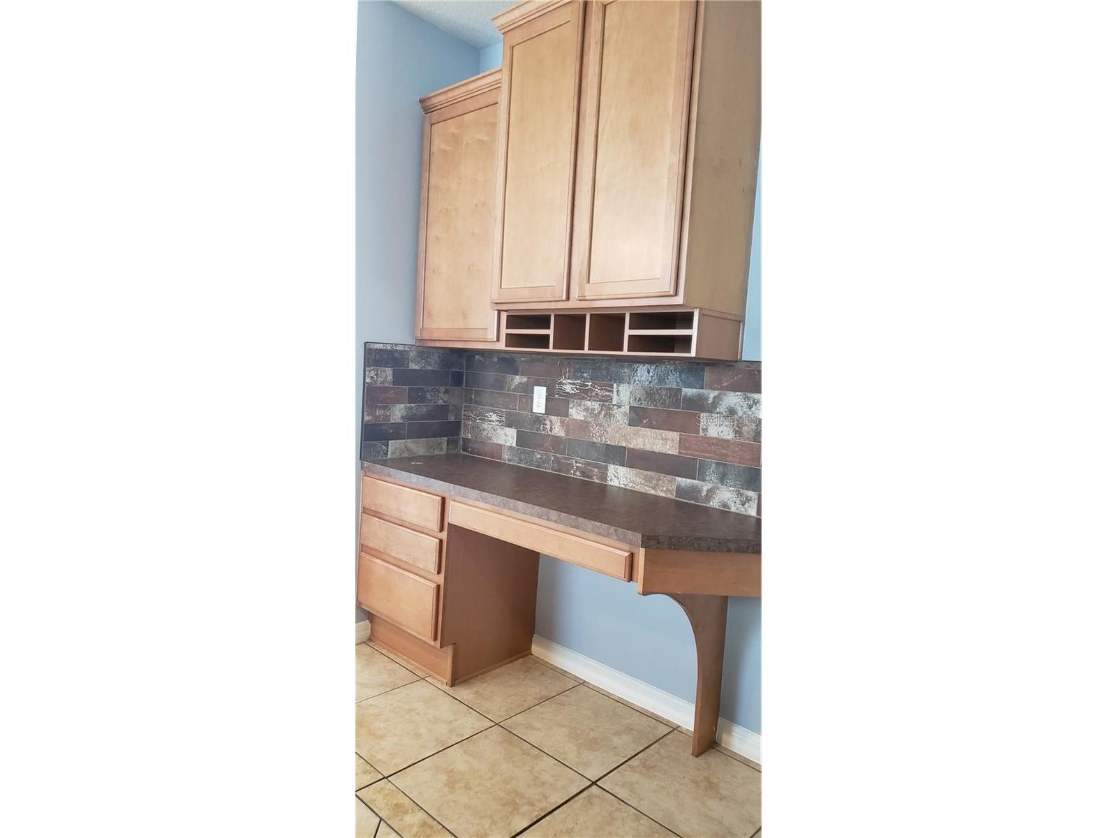 1115 Fennel Green Drive Seffner FL 33584 TB8508258 image21