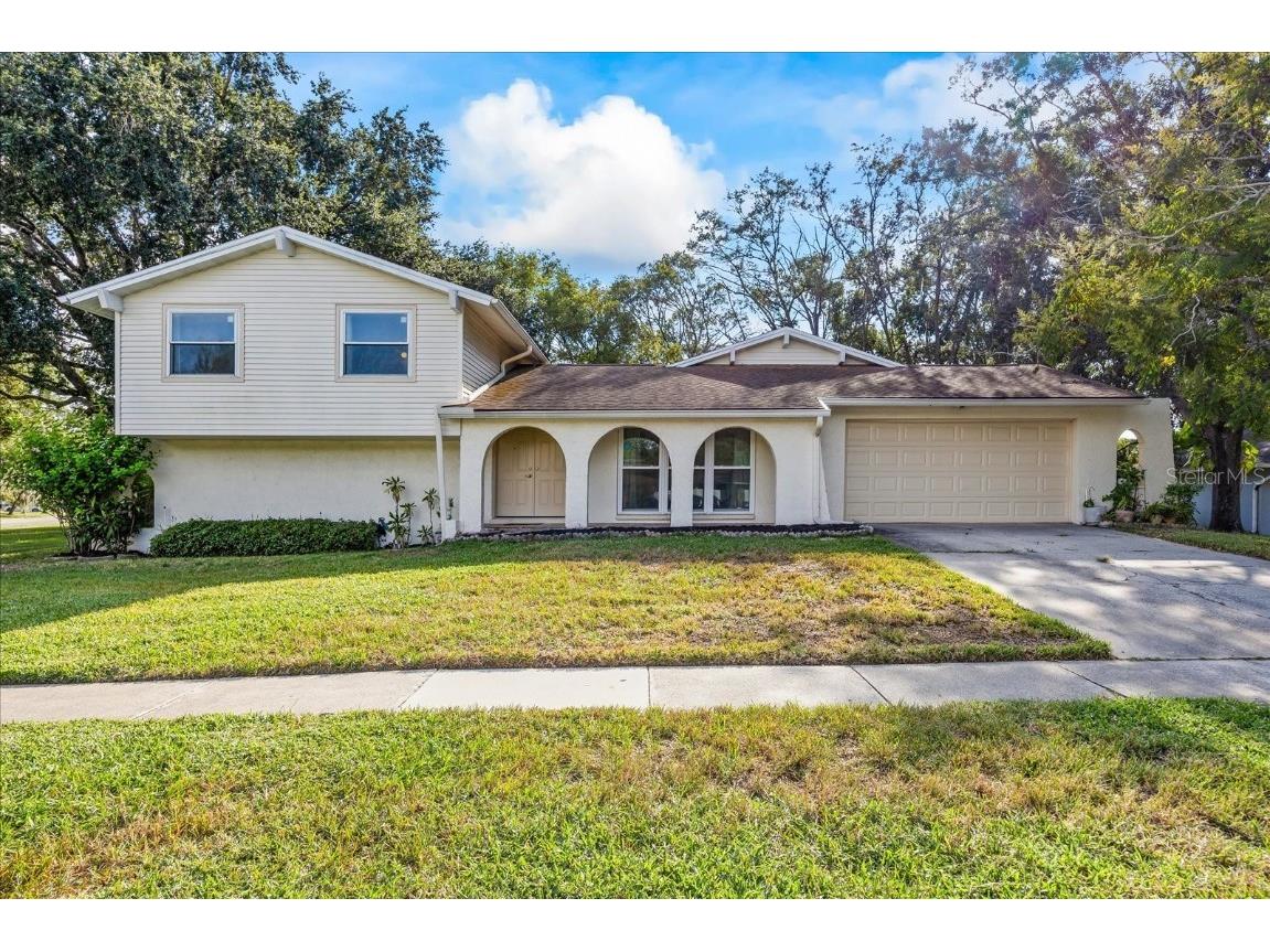 1115 Foggy Ridge Parkway Lutz FL 33559 TB8304142 image1