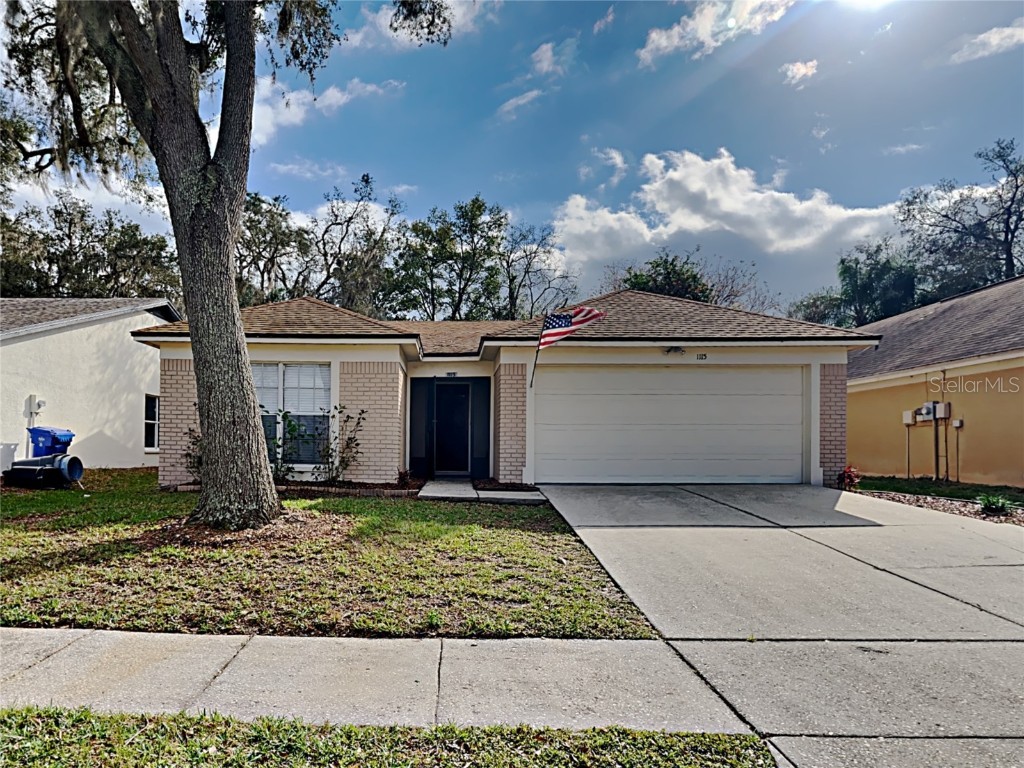 1115 Hardwood Drive Valrico FL 33596 T3425455 image1