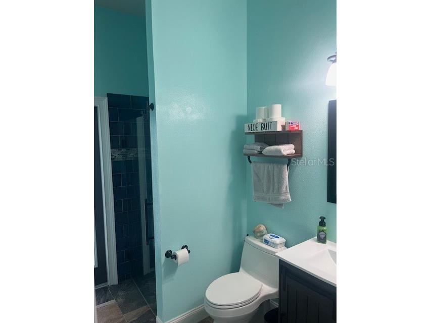 1115 Lumsden Trace Circle Valrico FL 33594 TB8444046 image16