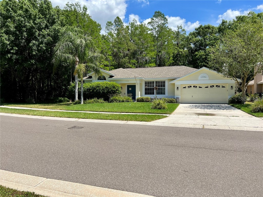 1115 Mistwood Drive Tarpon Springs FL 34688 OM656116 image1