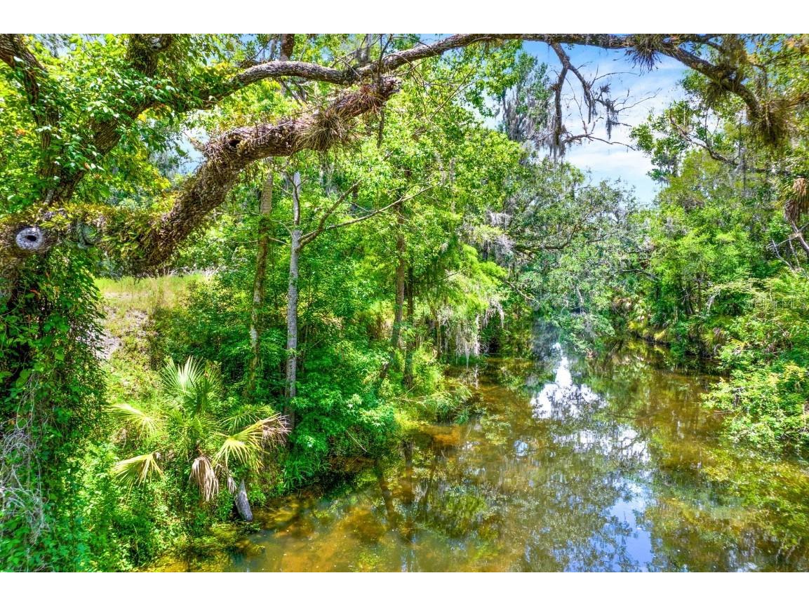 1115 Myrtle Road Valrico FL 33596 TB8430395 image1