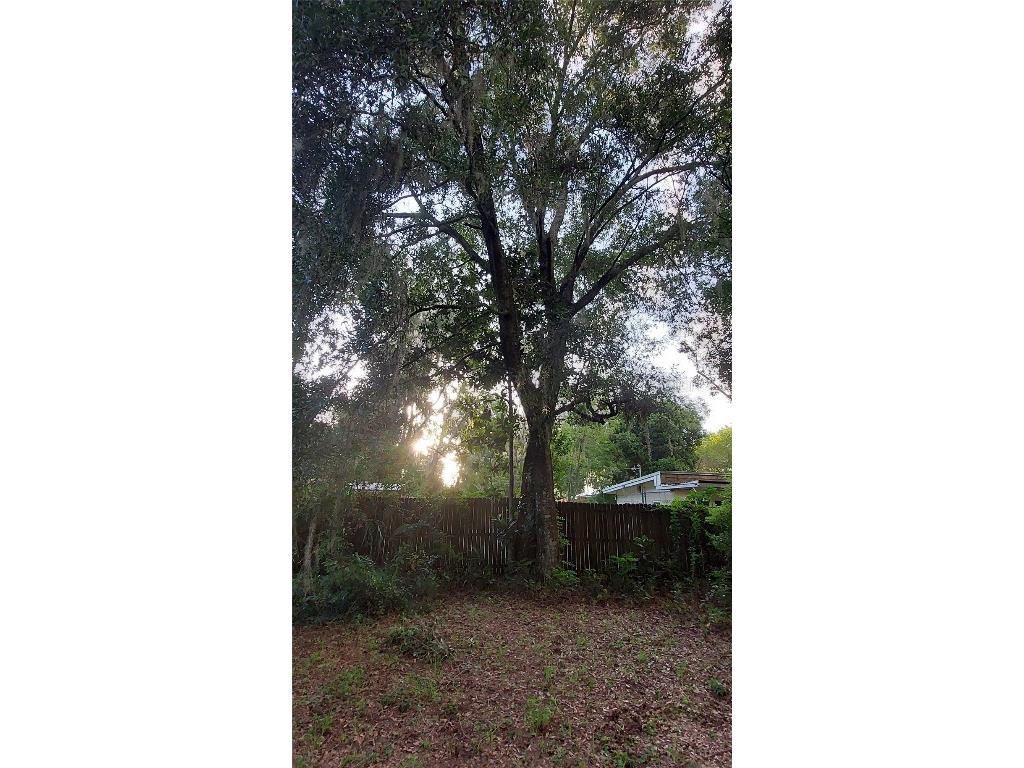 1115 NW 22nd Avenue Gainesville FL 32609 GC534719 image14