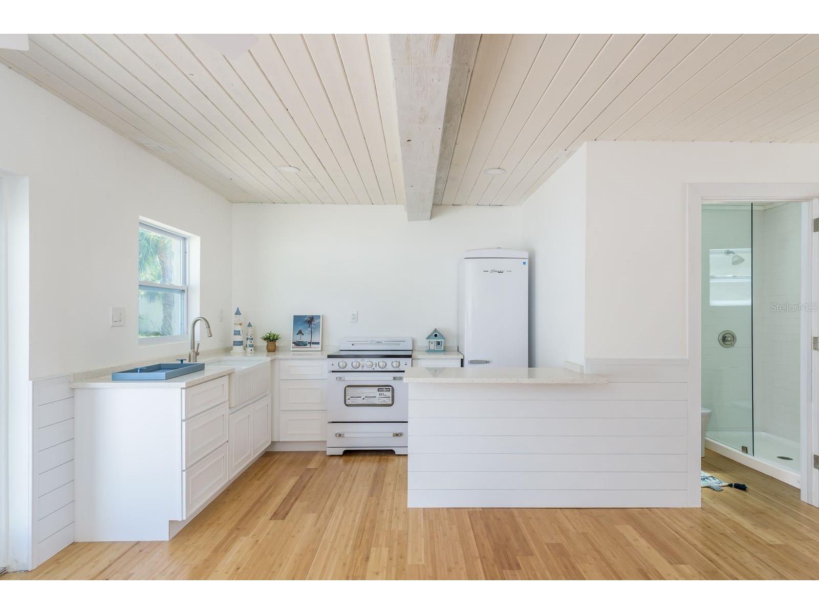 1115 Pennsylvania Avenue Palm Harbor FL 34683 TB8485470 image17