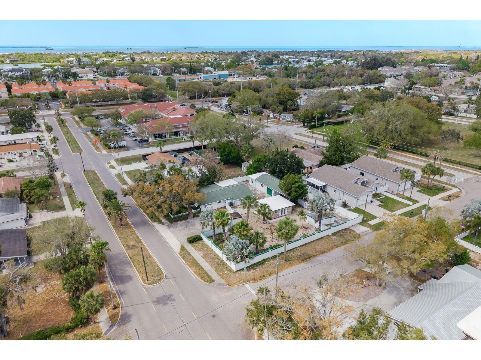 1115 Pennsylvania Avenue Palm Harbor FL 34683 TB8485470 image26