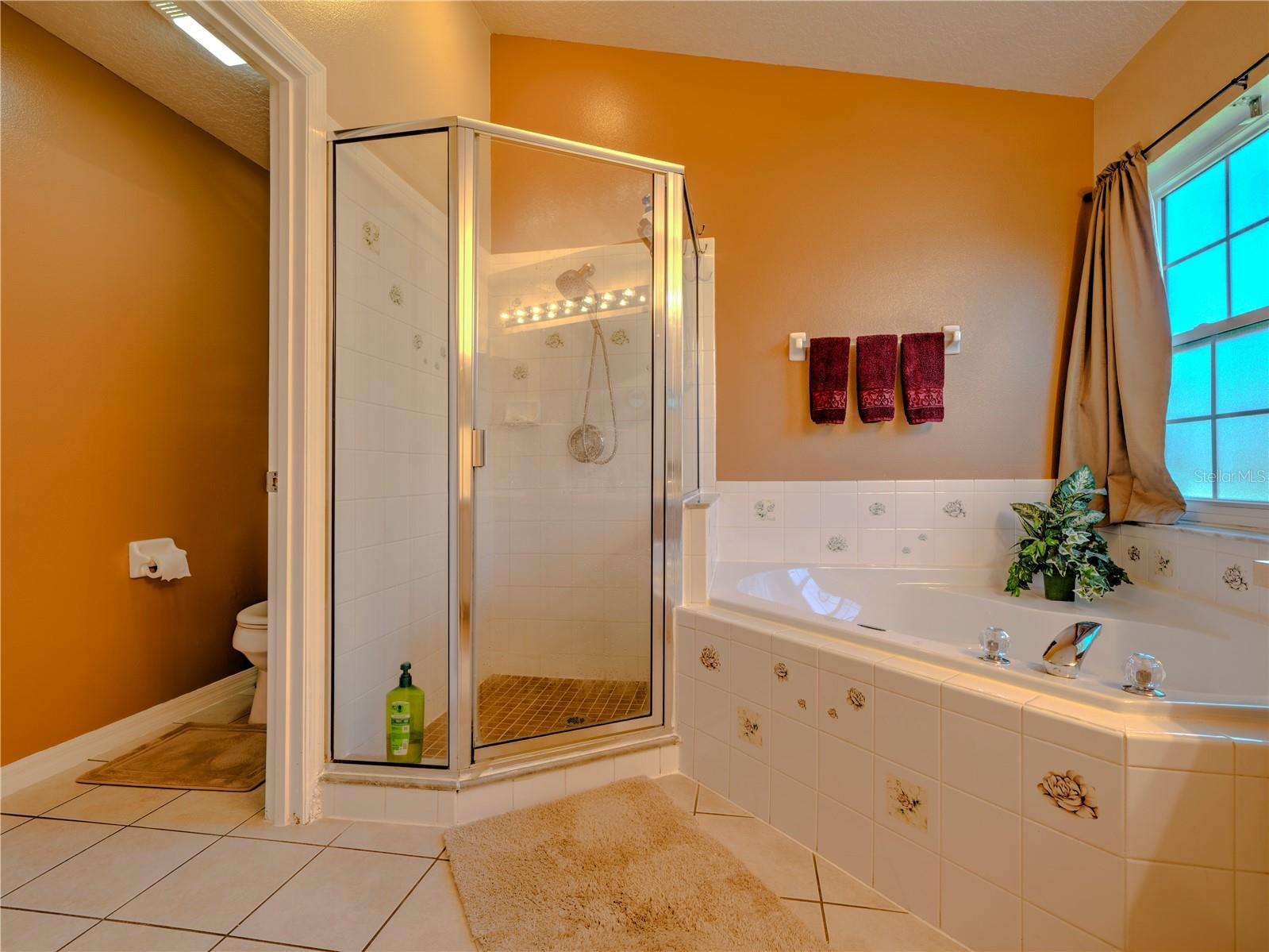 1115 Prosperity Avenue Kissimmee FL 34744 S5146235 image19