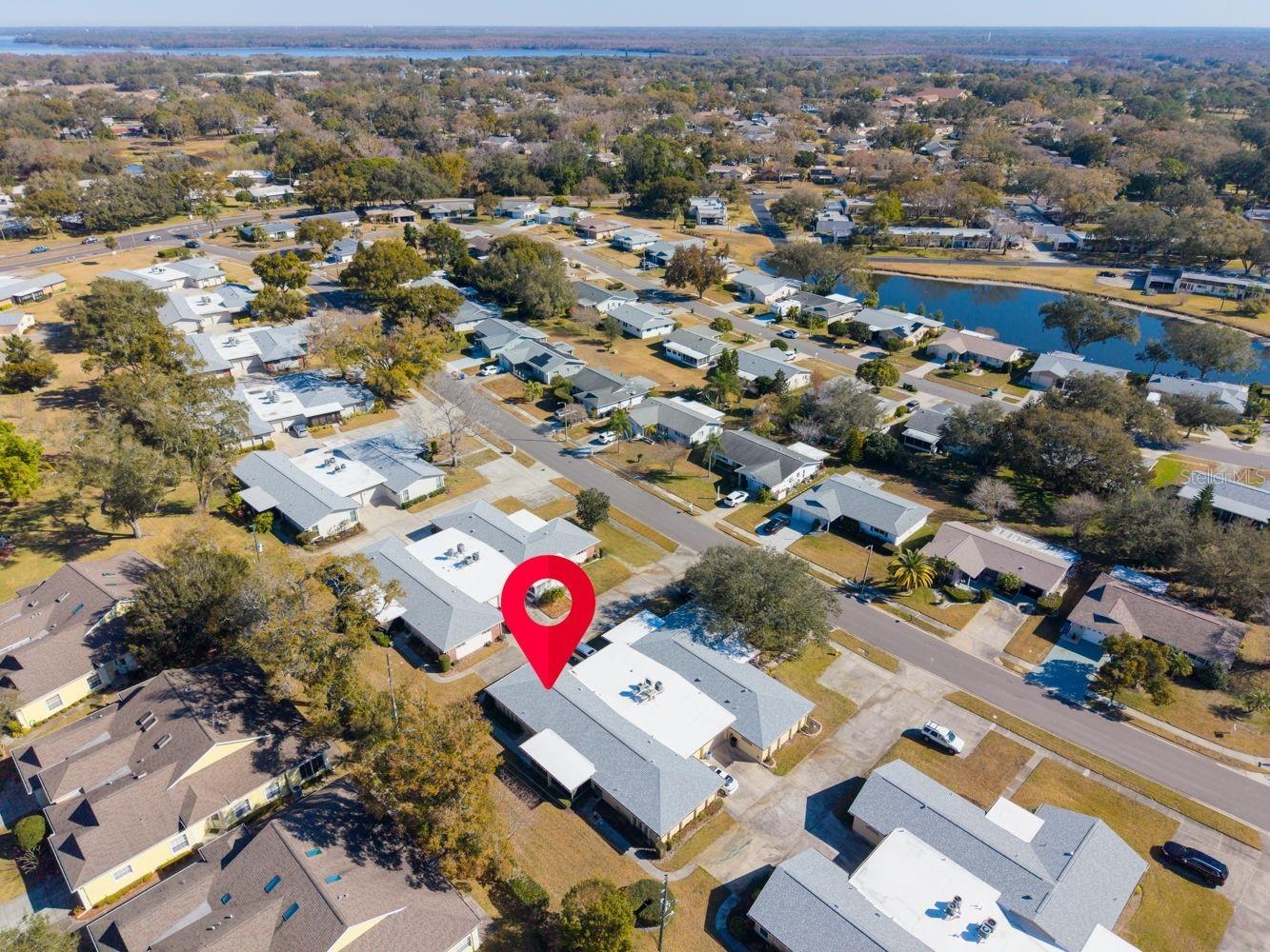 1115 Queen Anne Drive #C Palm Harbor FL 34684 - LAKE TARPON TB8475511 image31