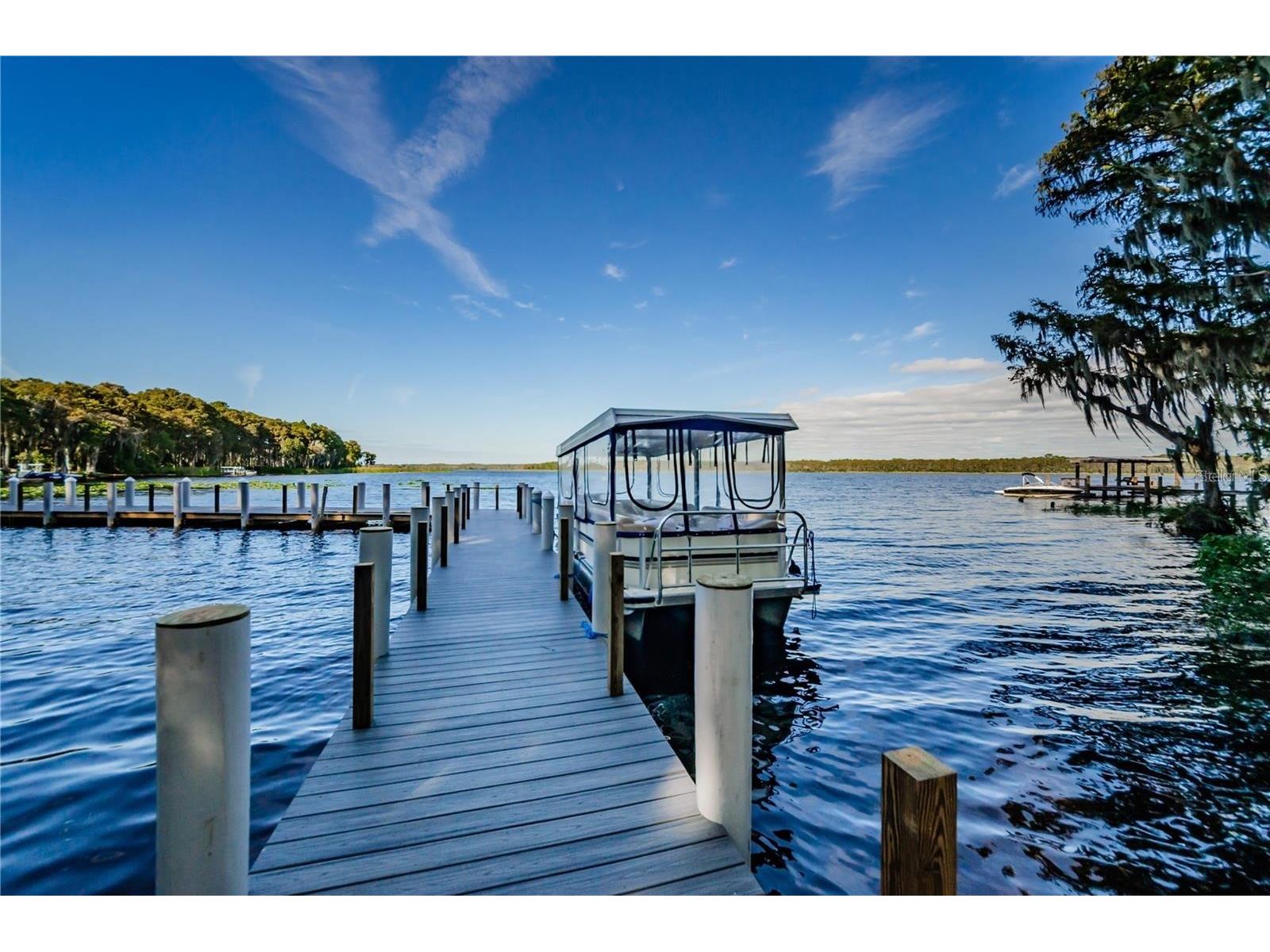 1115 Queen Anne Drive #C Palm Harbor FL 34684 - LAKE TARPON TB8475511 image48