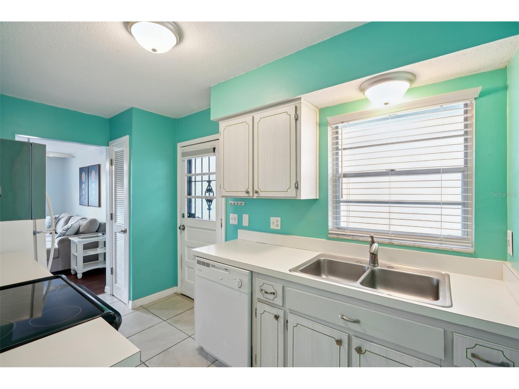 1115 Rue Des Chateaux #2A South Pasadena FL 33707 TB8509010 image10