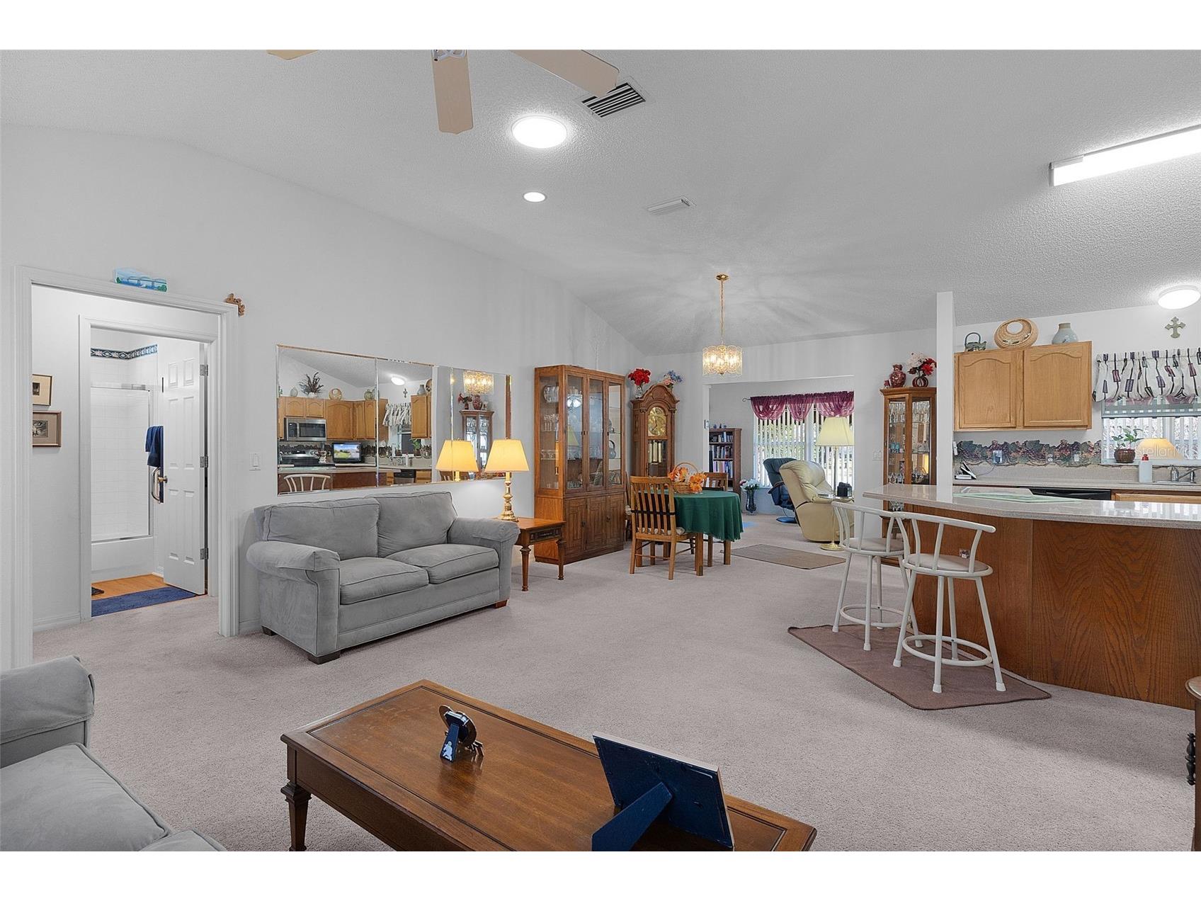 1115 Salido Avenue The Villages FL 32159 G5107206 image10