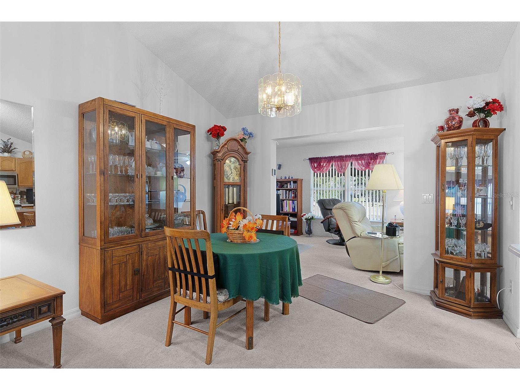 1115 Salido Avenue The Villages FL 32159 G5107206 image11