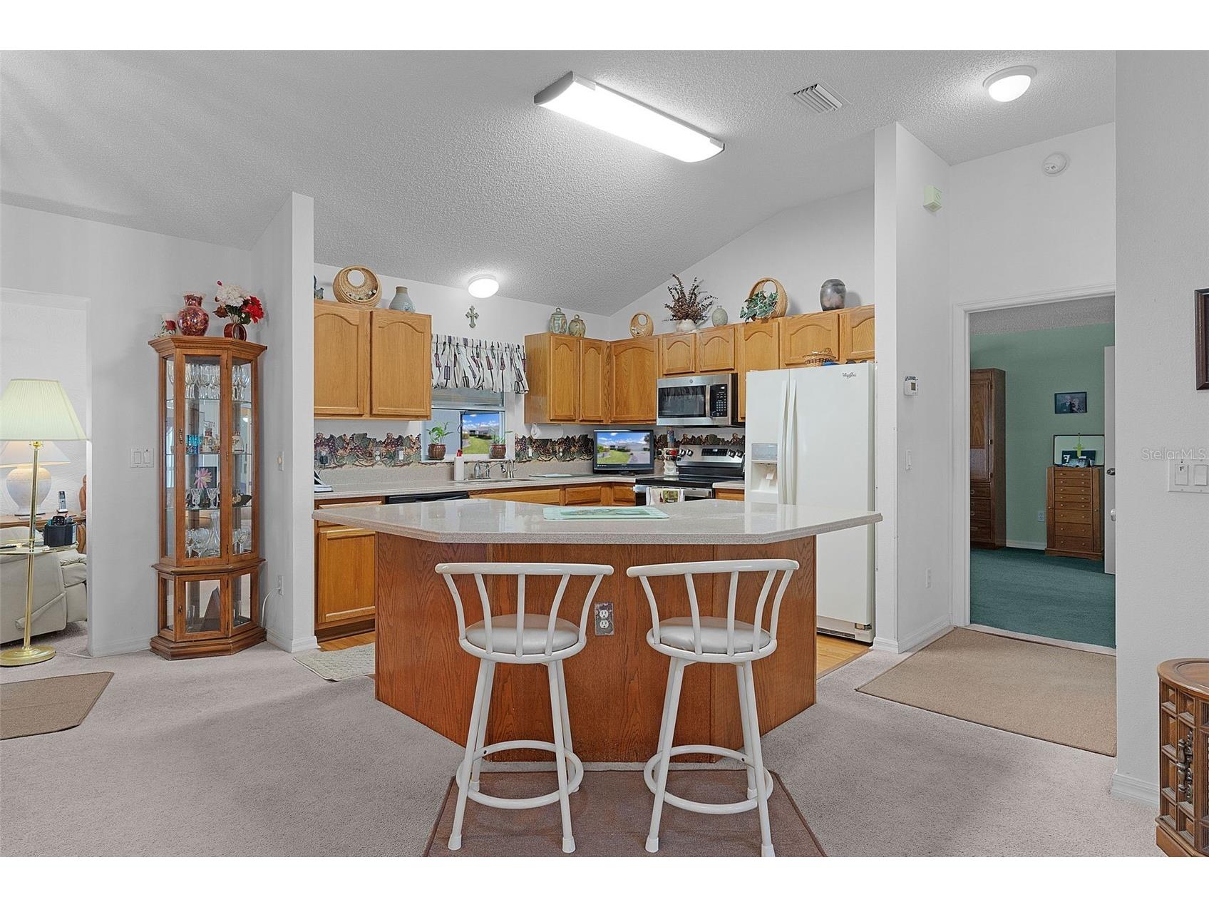 1115 Salido Avenue The Villages FL 32159 G5107206 image6