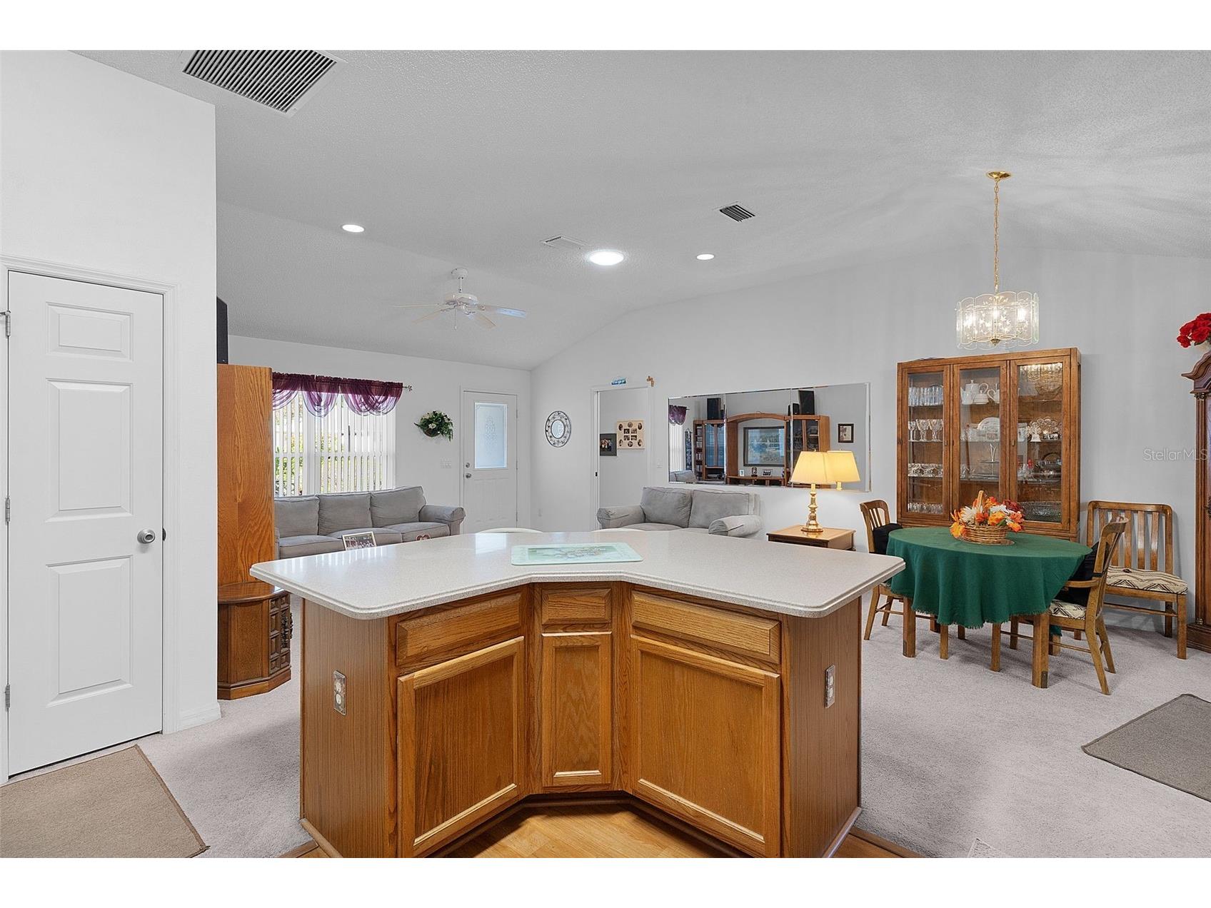 1115 Salido Avenue The Villages FL 32159 G5107206 image9