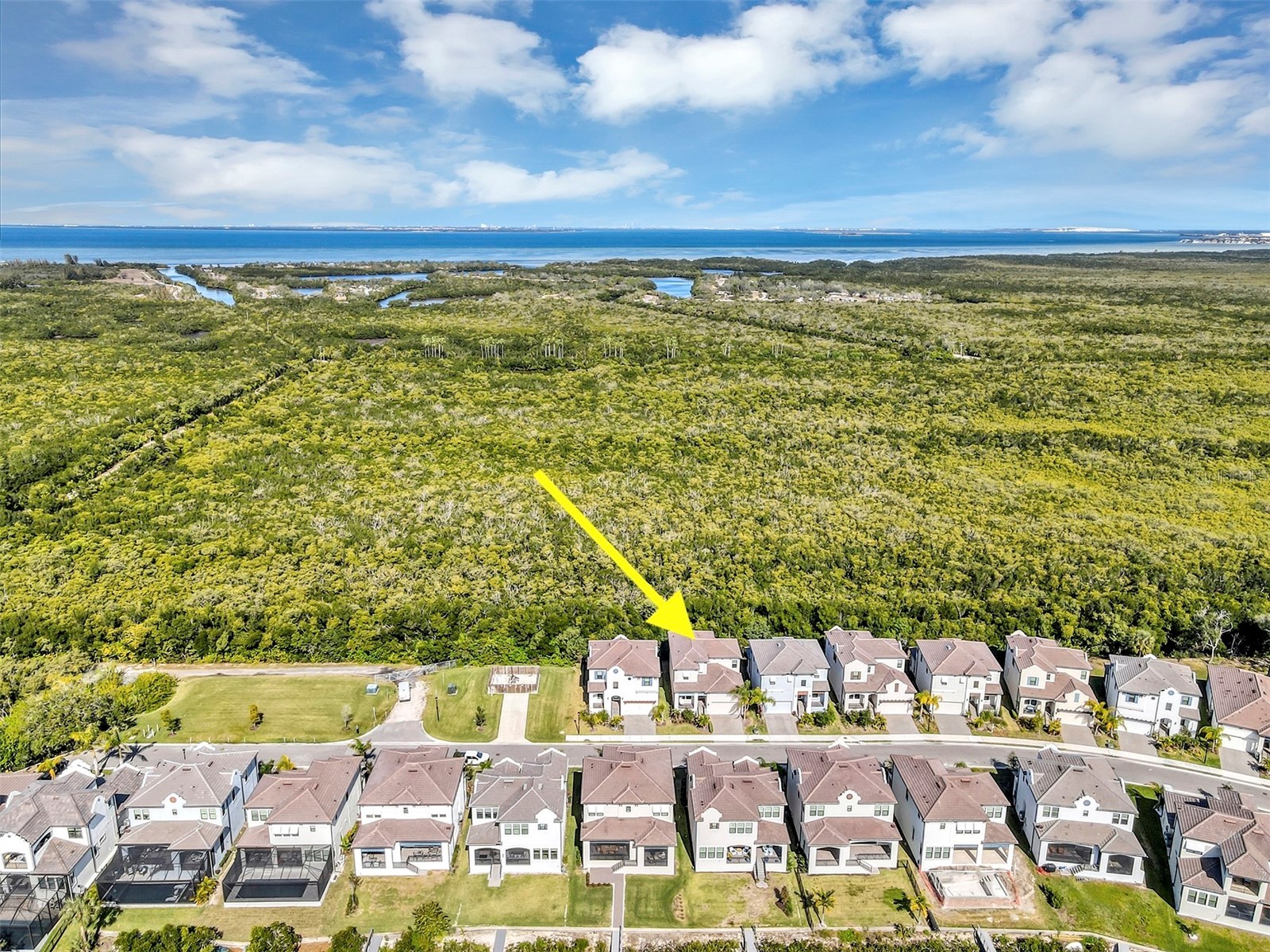 1115 Seagrape Drive Ruskin FL 33570 S5142292 image3