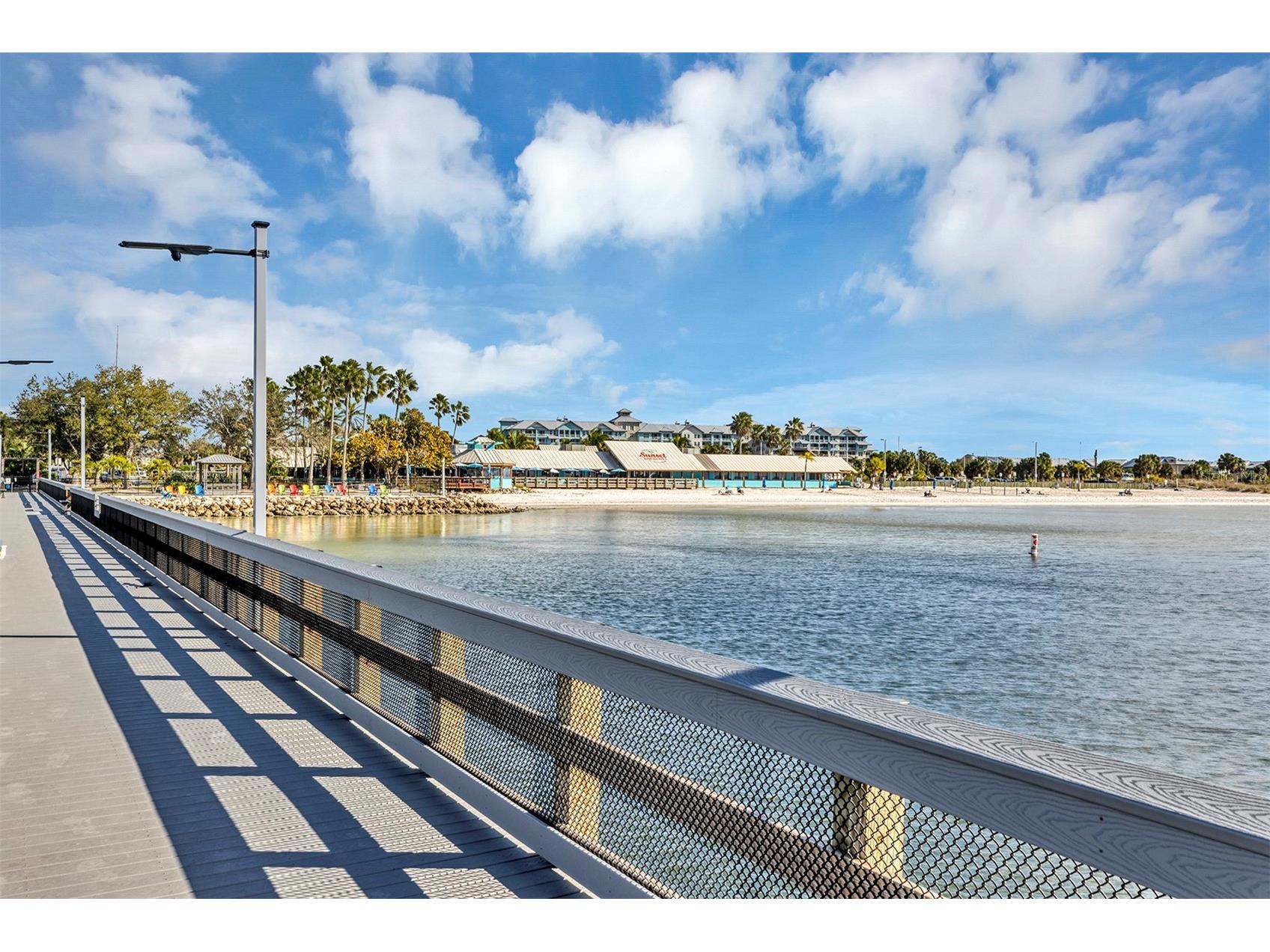 1115 Seagrape Drive Ruskin FL 33570 S5142292 image46
