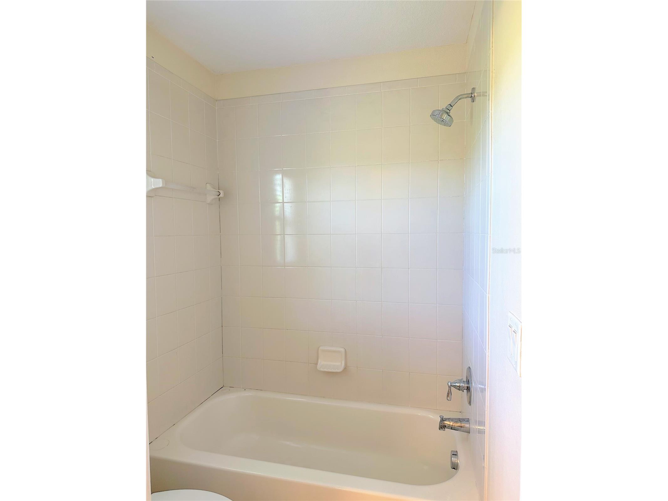 11150 Ancient Futures Drive Tampa FL 33647 TB8523254 image29