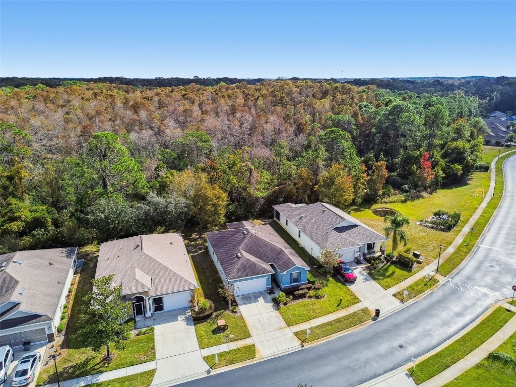 11150 Paradise Point Way New Port Richey FL 34654 W7880835 image39