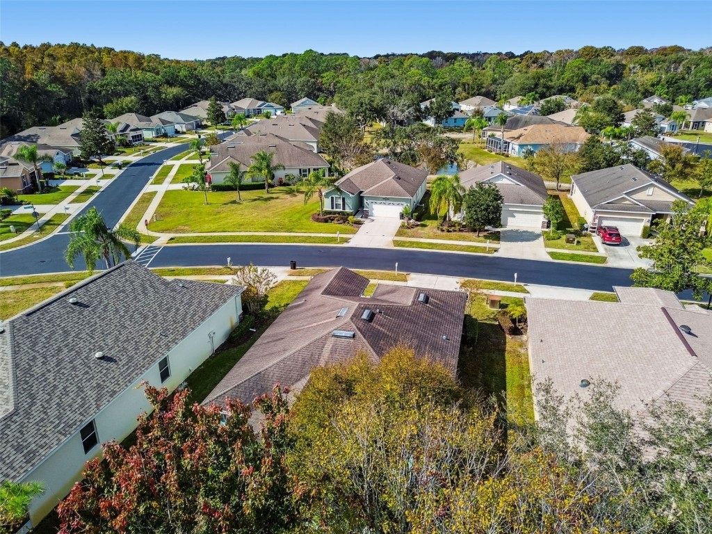 11150 Paradise Point Way New Port Richey FL 34654 W7880835 image42