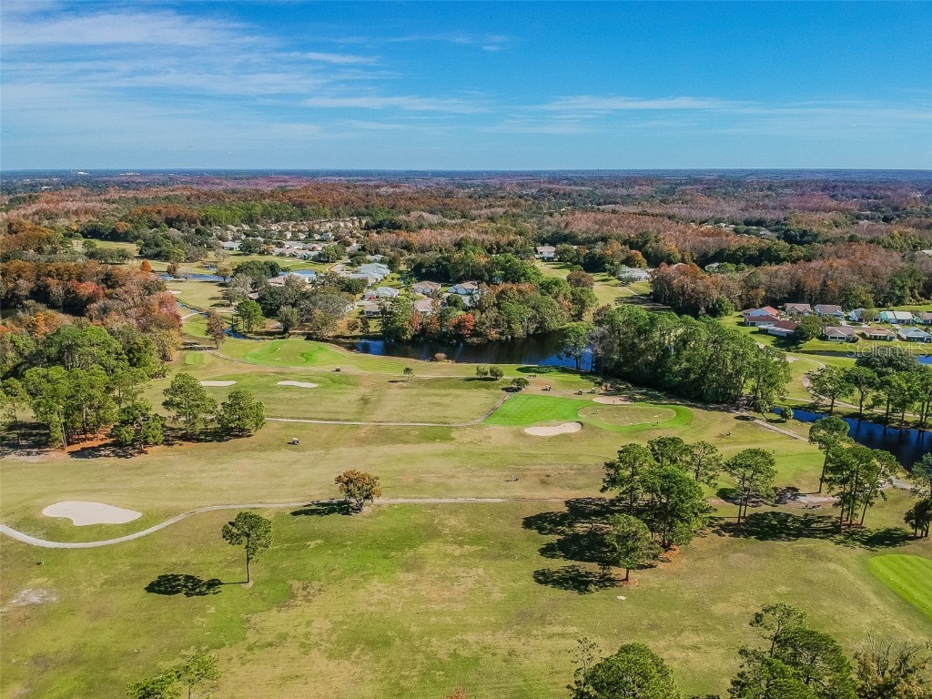 11150 Paradise Point Way New Port Richey FL 34654 W7880835 image59