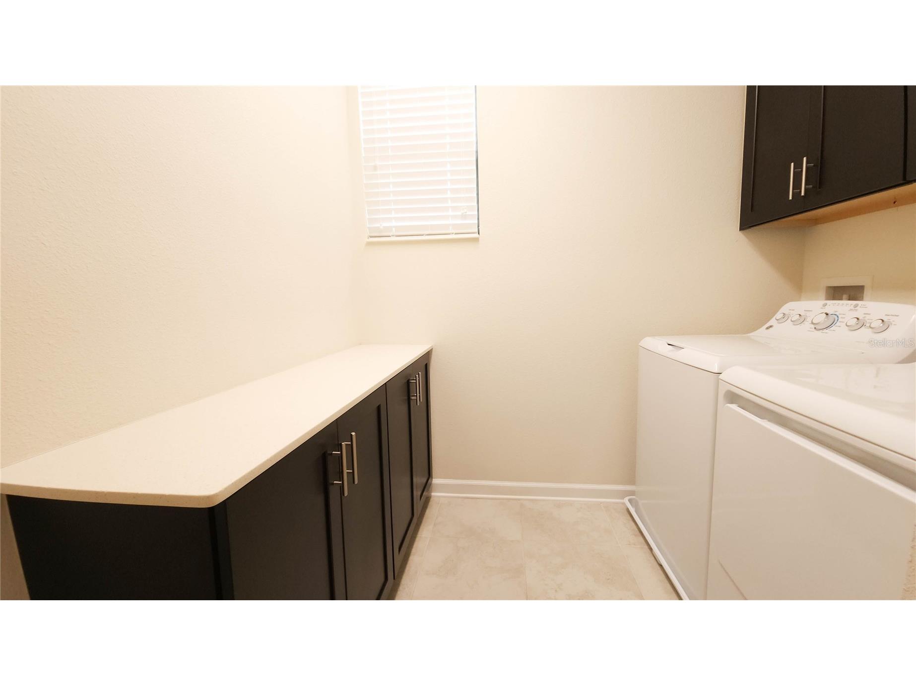 11150 Whistling Pine Way Orlando FL 32832 O6413743 image16