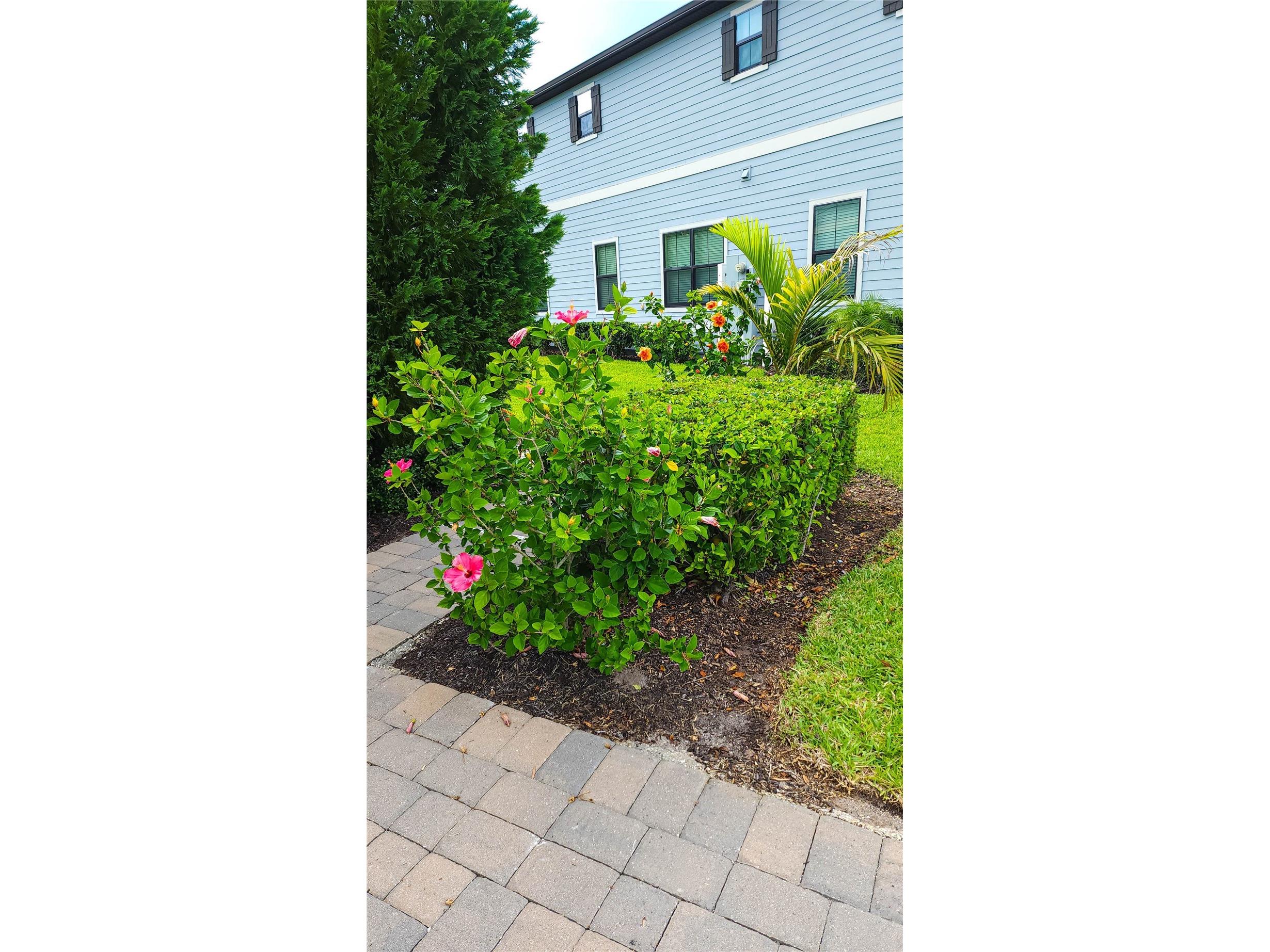 11150 Whistling Pine Way Orlando FL 32832 O6413743 image18