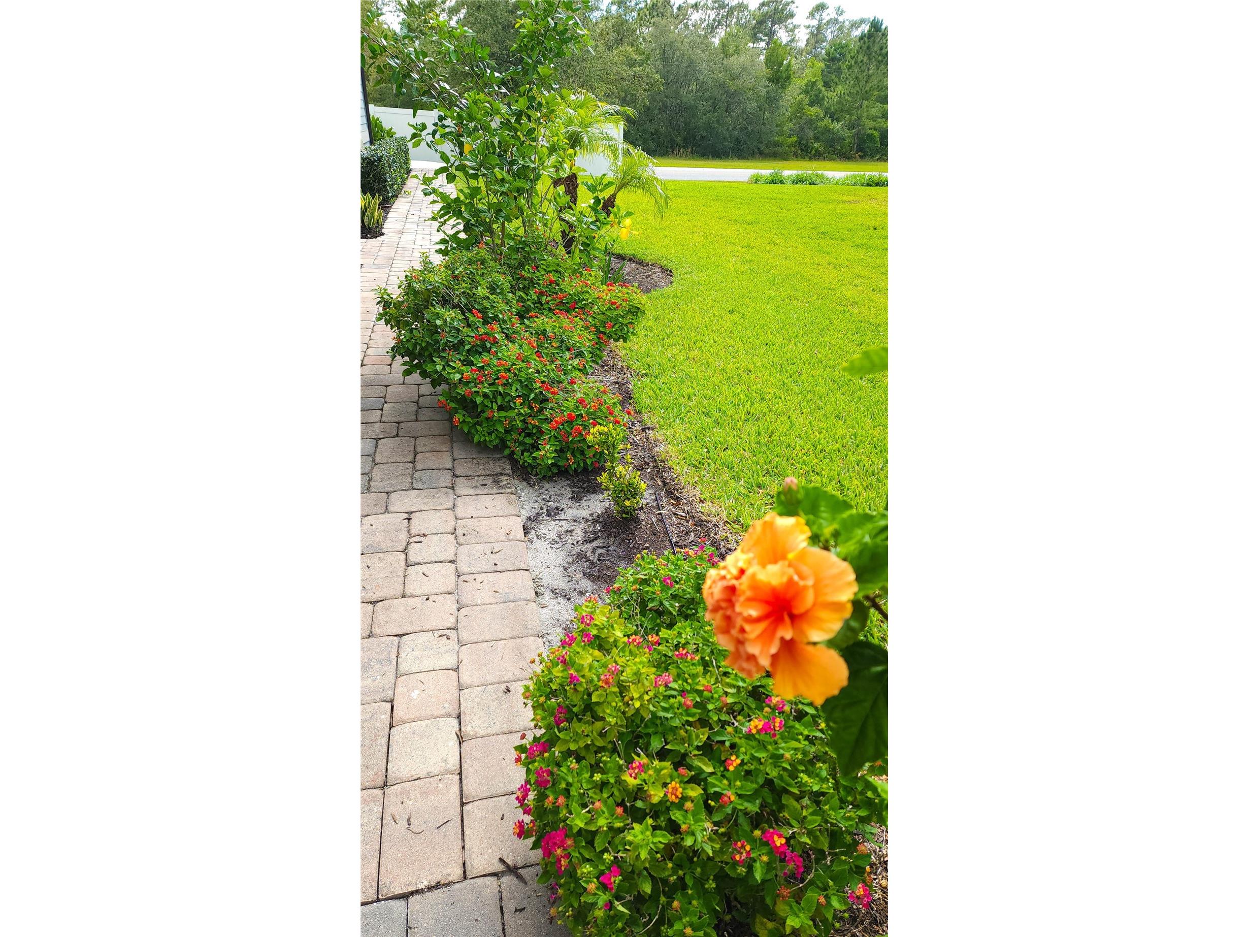 11150 Whistling Pine Way Orlando FL 32832 O6413743 image19