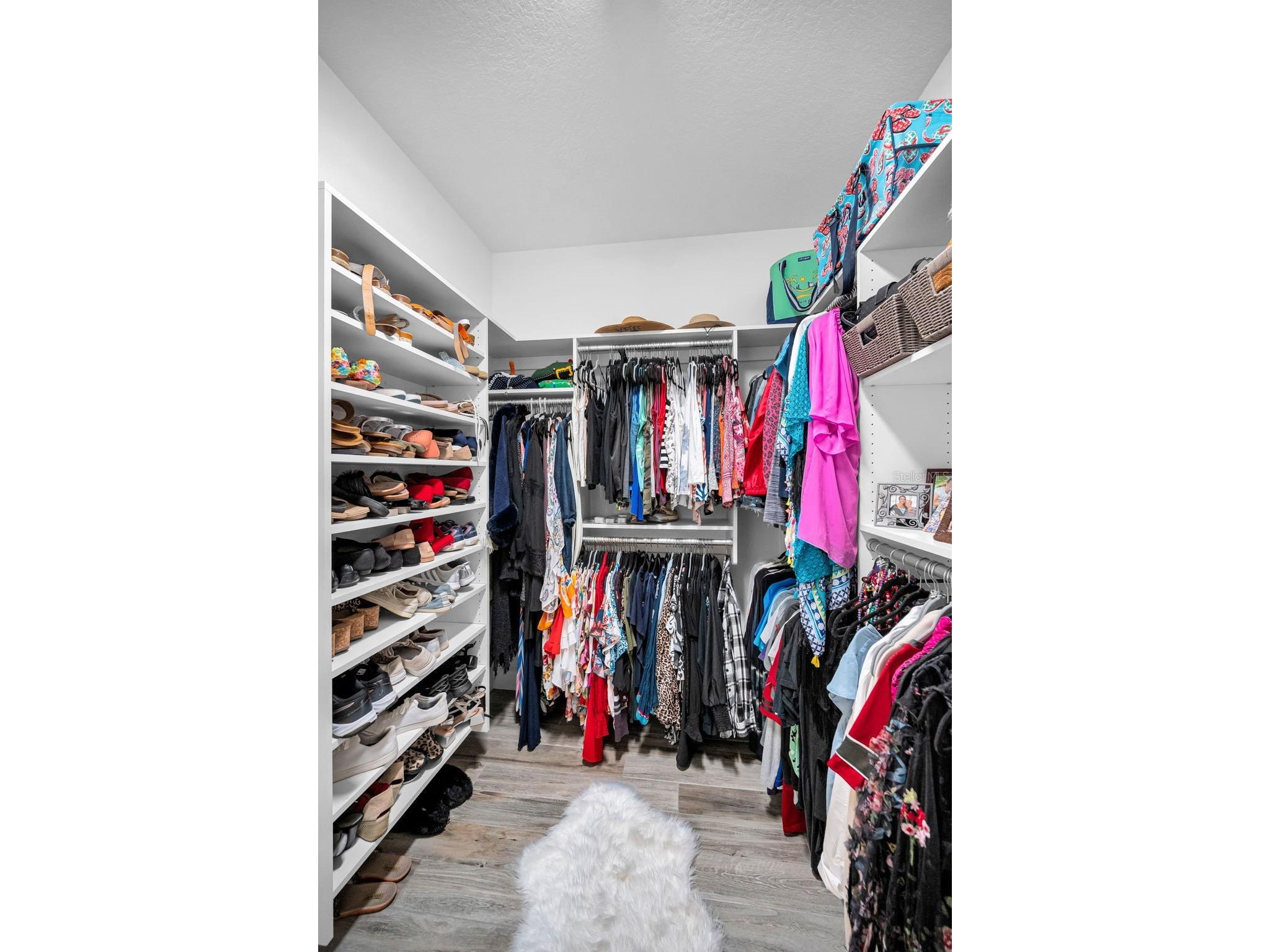 11151 Calluna Drive Odessa FL 33556 W7884483 image10