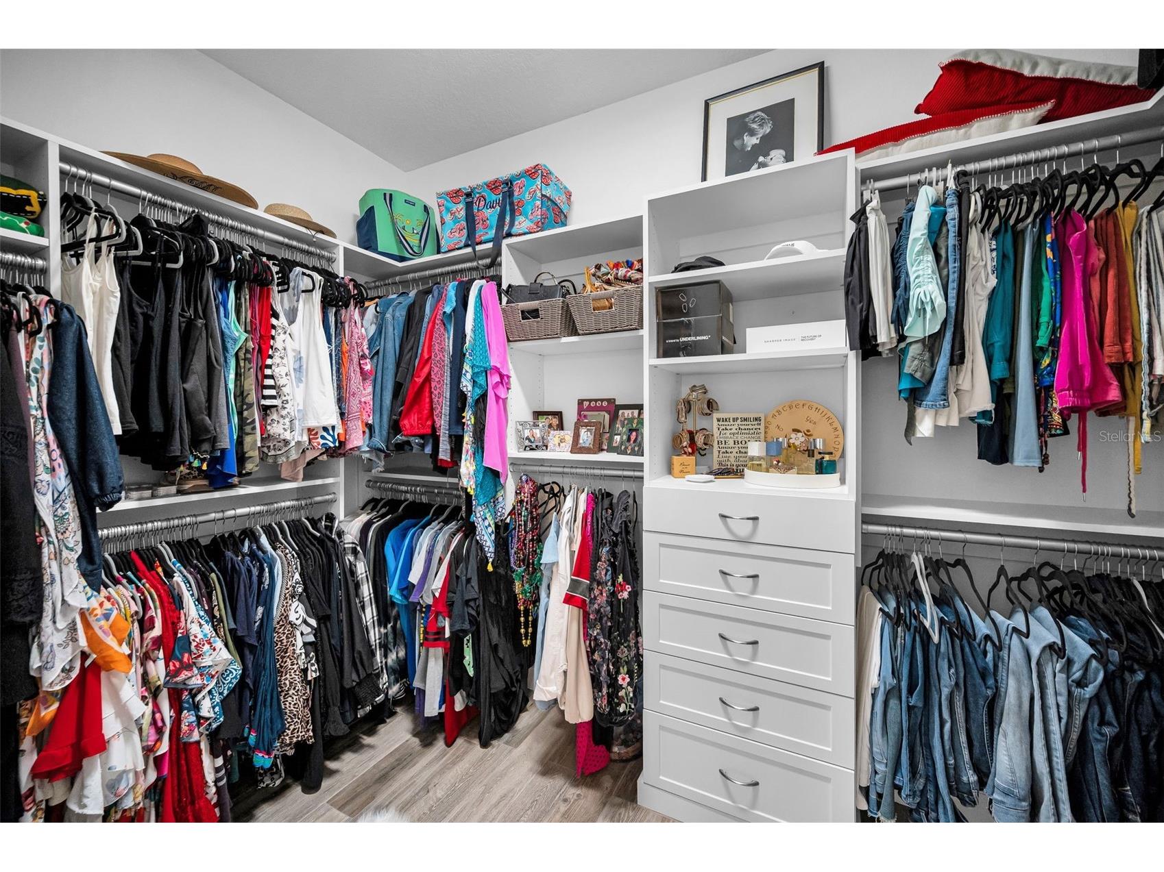 11151 Calluna Drive Odessa FL 33556 W7884483 image11