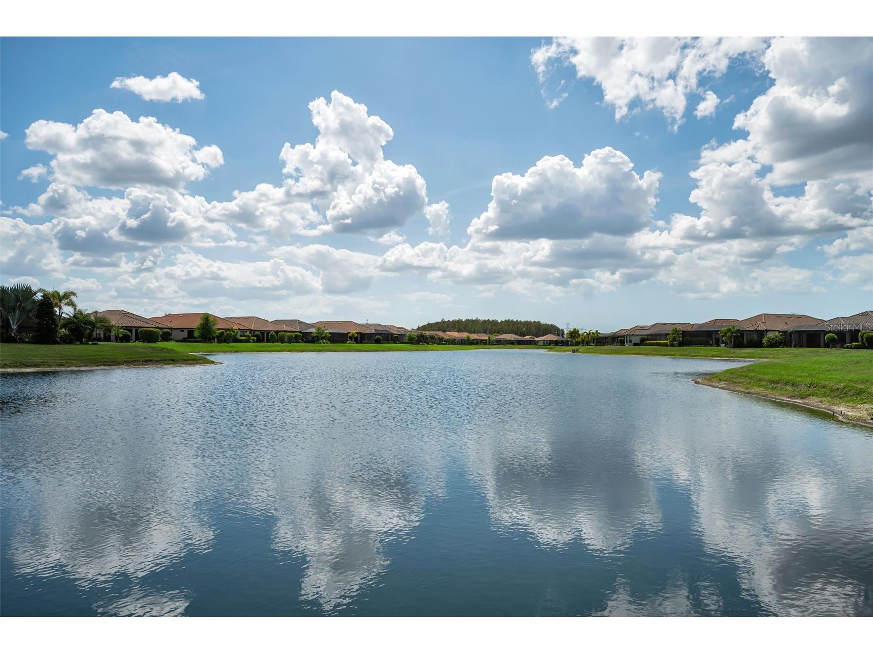 11151 Calluna Drive Odessa FL 33556 W7884483 image2