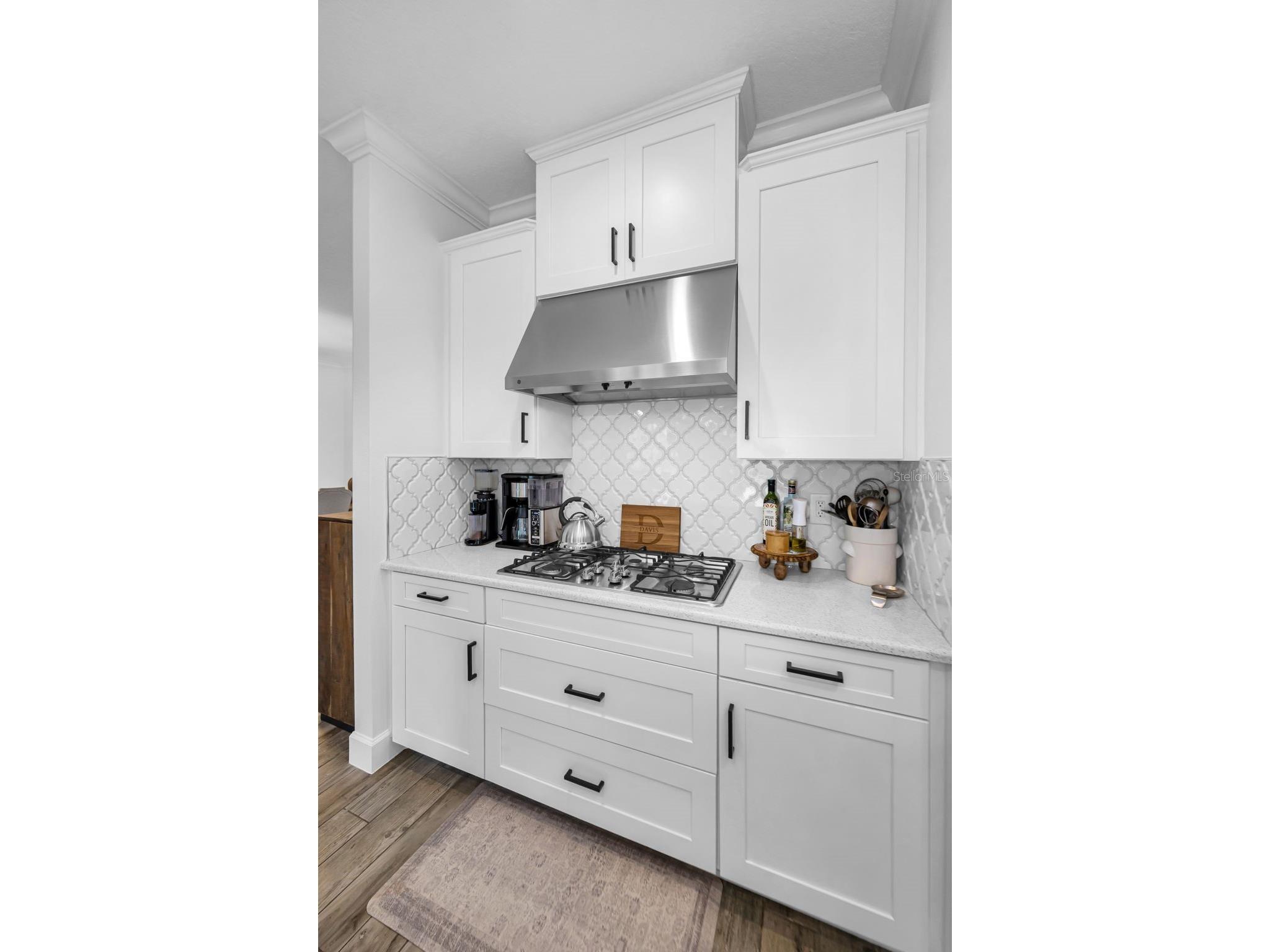 11151 Calluna Drive Odessa FL 33556 W7884483 image23