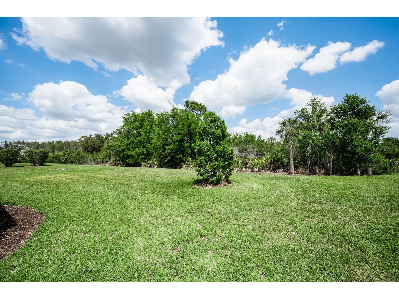 11151 Calluna Drive Odessa FL 33556 W7884483 image3