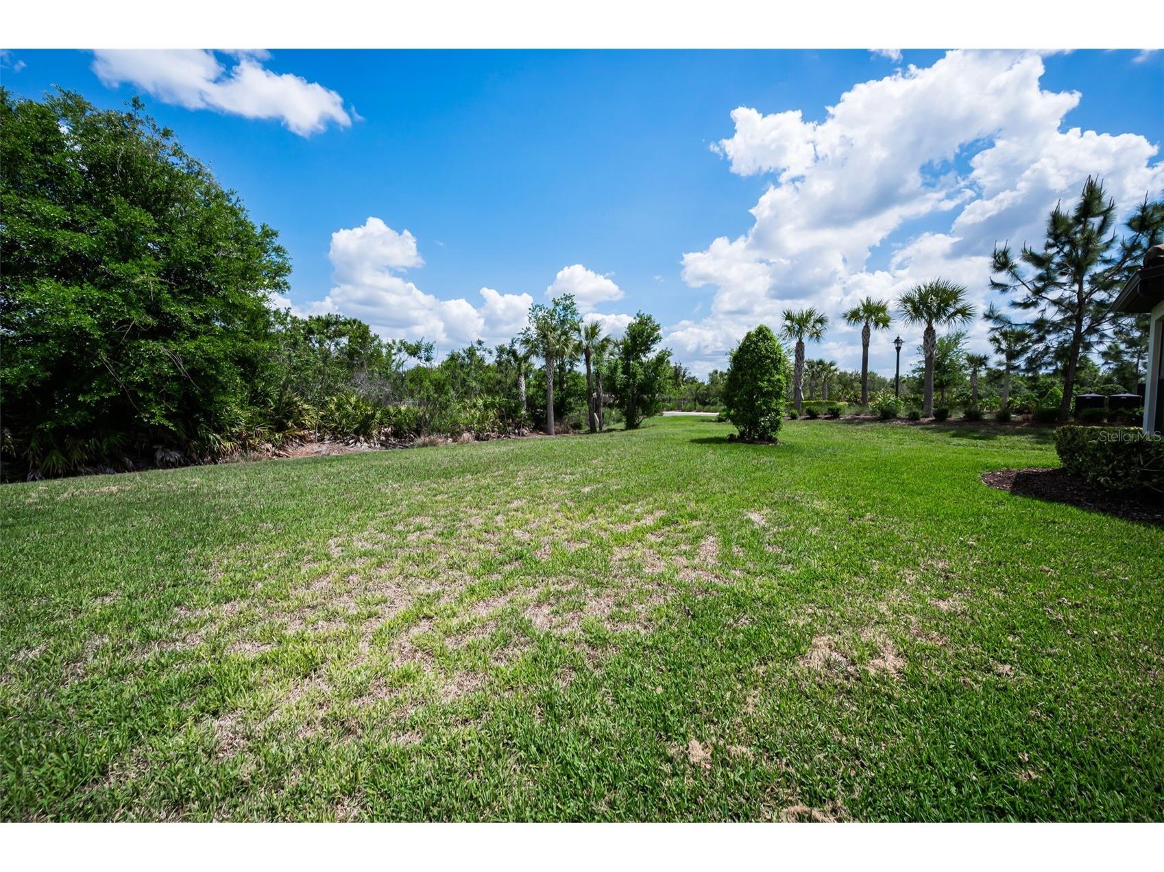 11151 Calluna Drive Odessa FL 33556 W7884483 image41