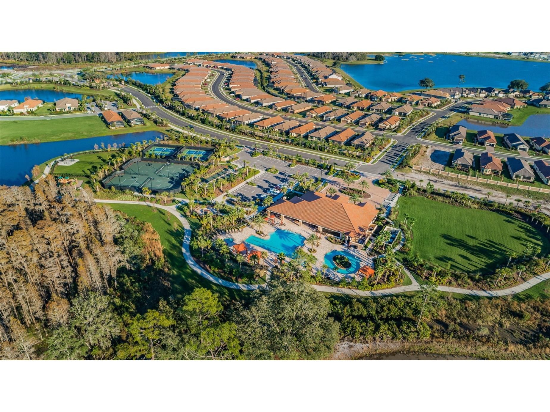 11151 Calluna Drive Odessa FL 33556 W7884483 image49