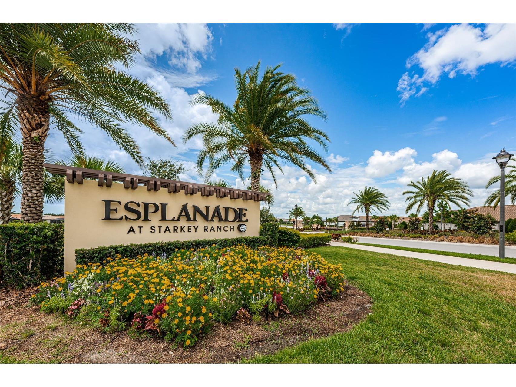 11151 Calluna Drive Odessa FL 33556 W7884483 image58