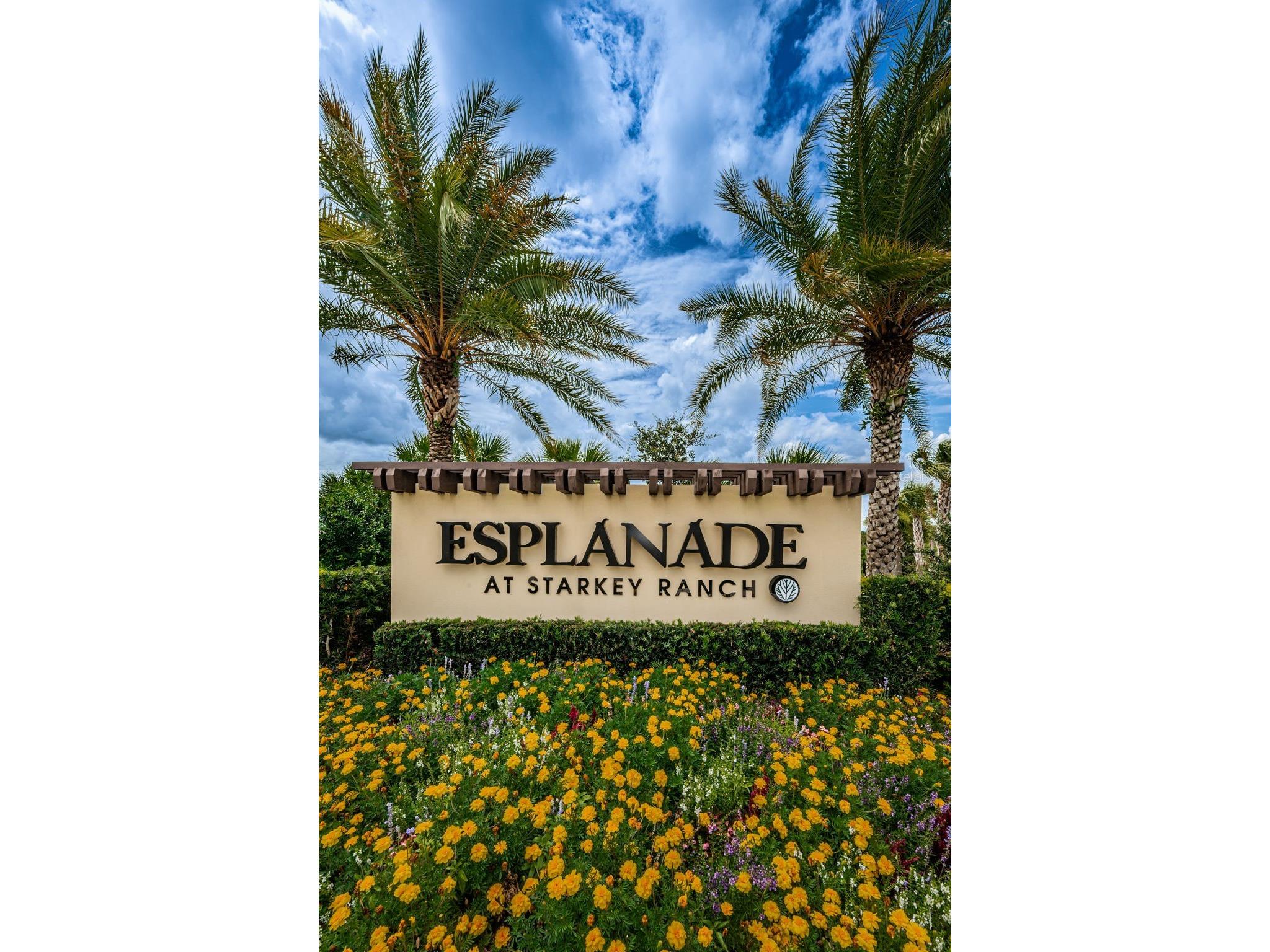 11151 Calluna Drive Odessa FL 33556 W7884483 image59