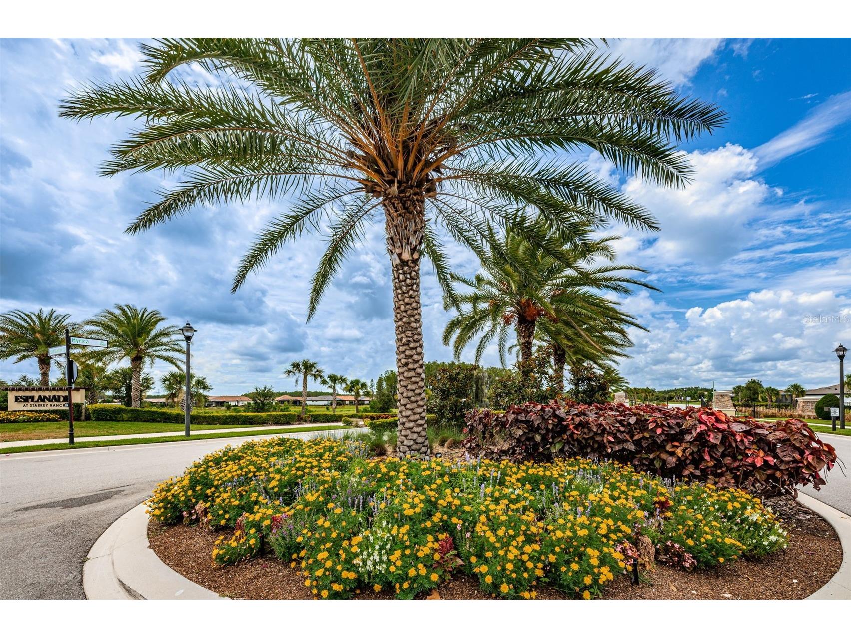 11151 Calluna Drive Odessa FL 33556 W7884483 image60