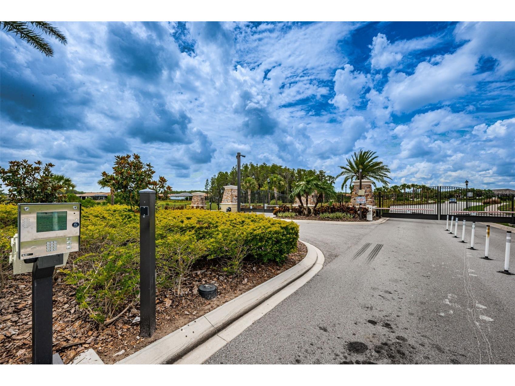 11151 Calluna Drive Odessa FL 33556 W7884483 image61