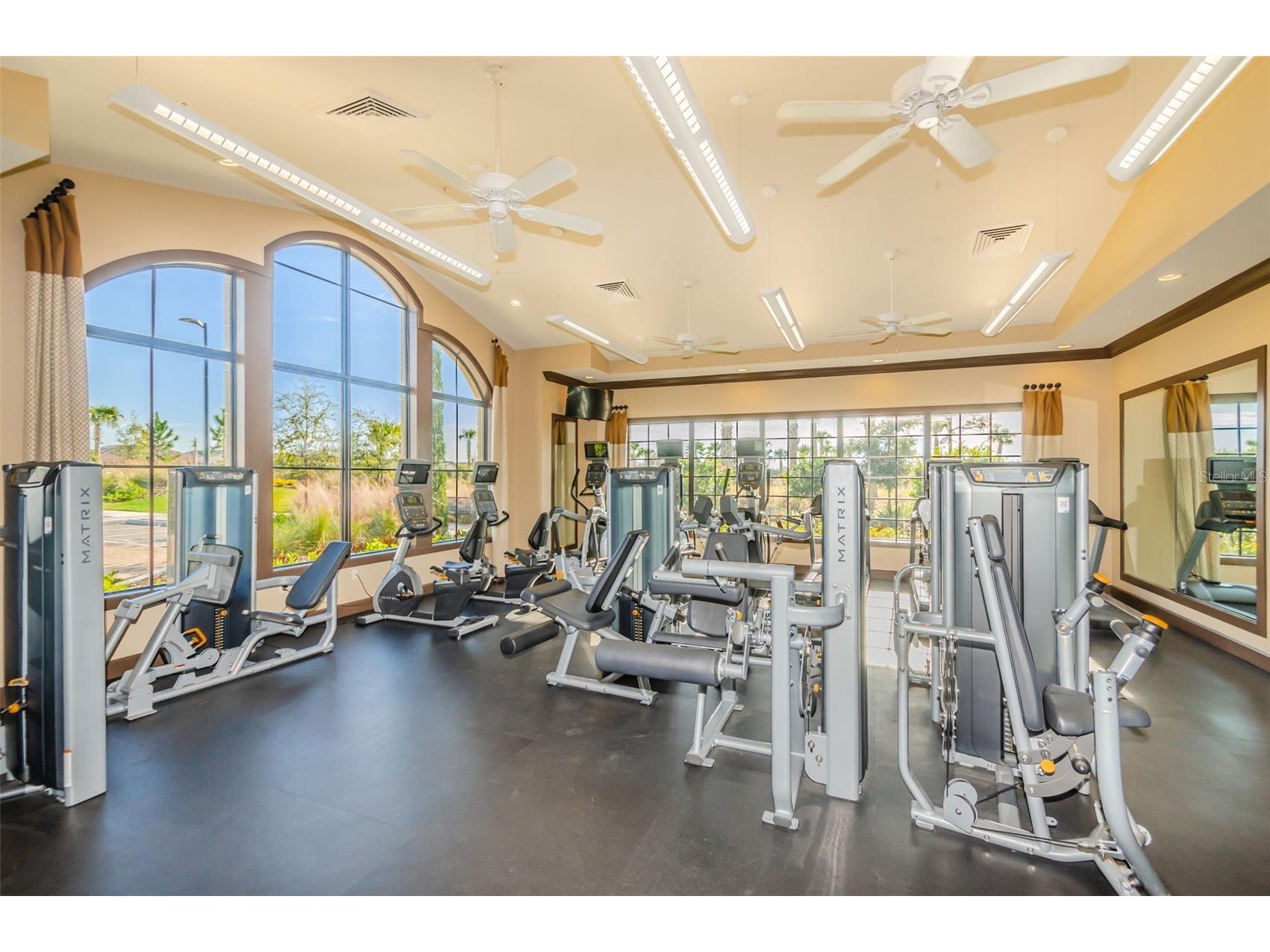 11151 Calluna Drive Odessa FL 33556 W7884483 image65