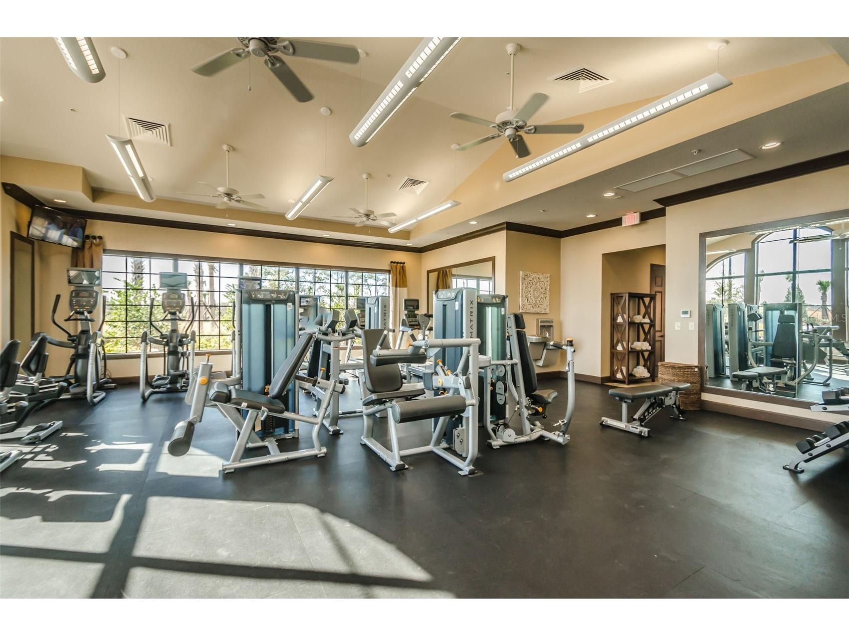 11151 Calluna Drive Odessa FL 33556 W7884483 image66