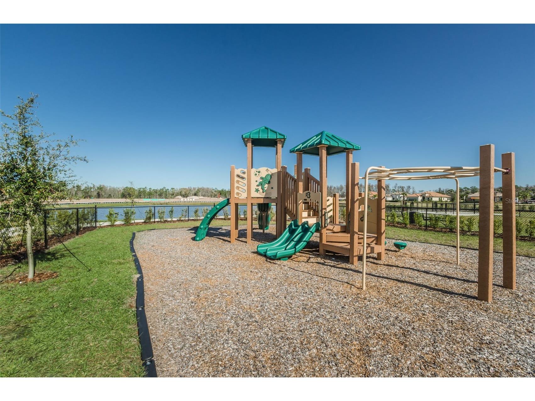 11151 Calluna Drive Odessa FL 33556 W7884483 image68