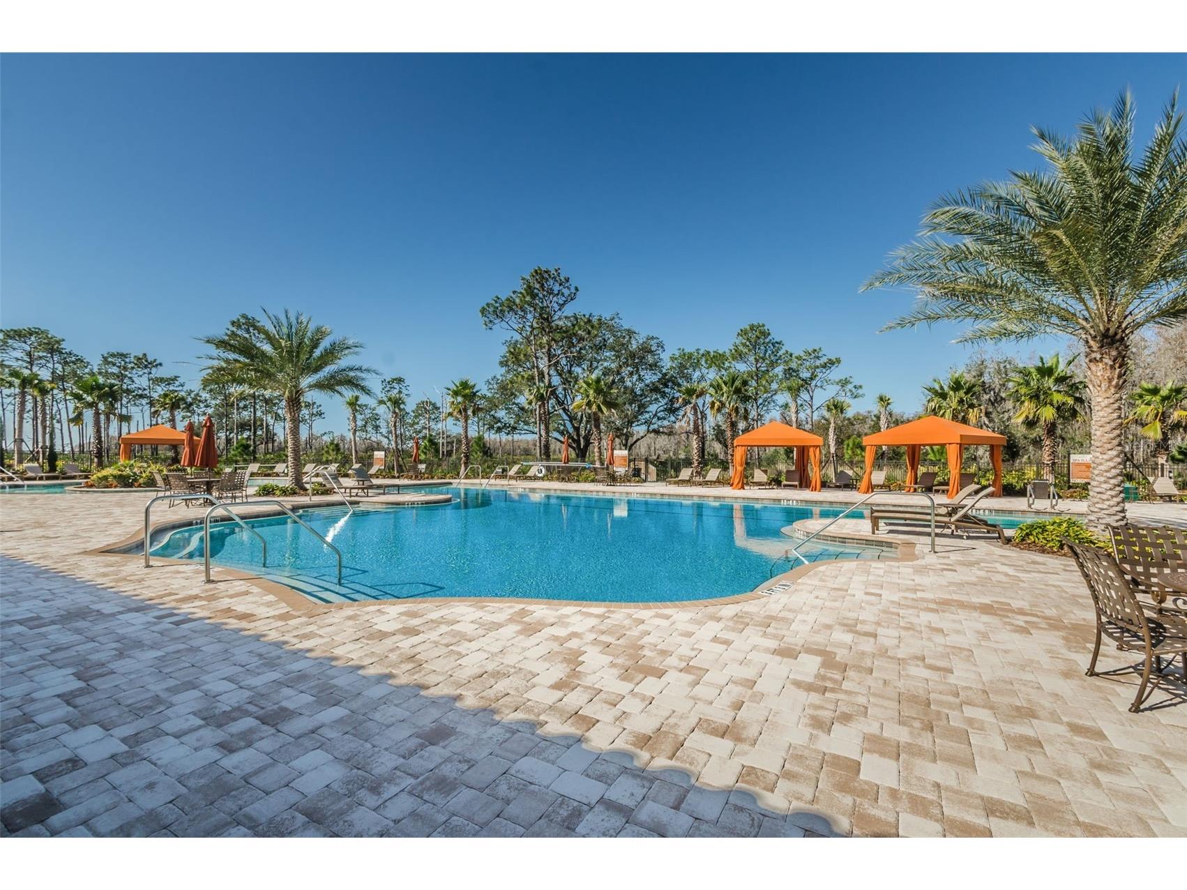 11151 Calluna Drive Odessa FL 33556 W7884483 image69