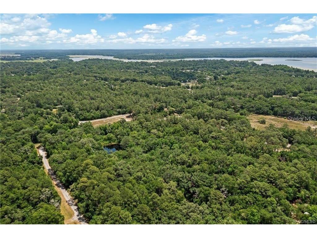 11151 Hwy 40 E Inglis FL 34449 OM718201 image3