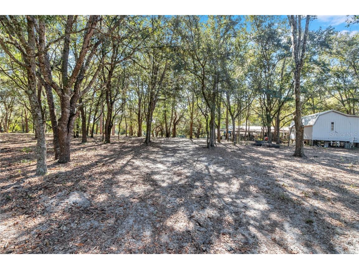 11151 SE 30th Street Morriston FL 32668 OM705214 image31