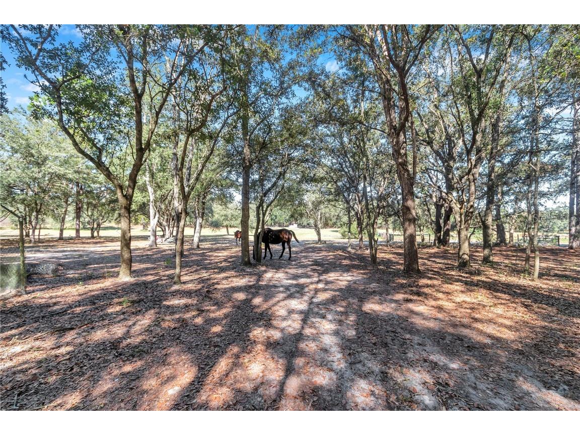 11151 SE 30th Street Morriston FL 32668 OM705214 image42