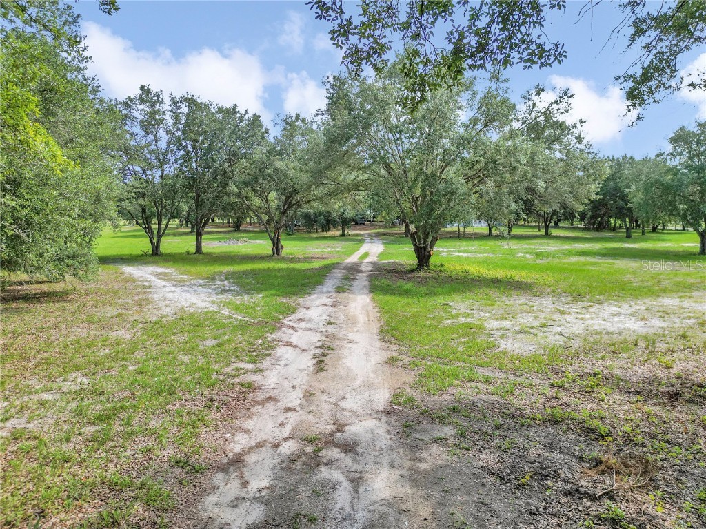 11151 SE 30th Street Morriston FL 32668 OM705214 image49