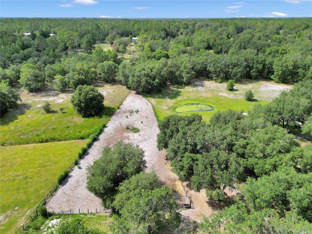 11151 SE 30th Street Morriston FL 32668 OM705214 image54